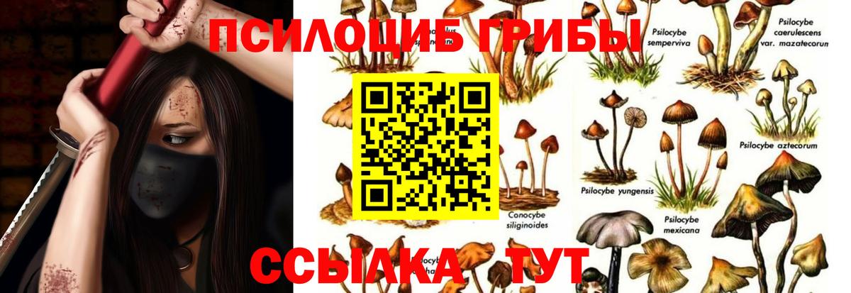 Галлюциногенные грибы мухоморы Геленджик
