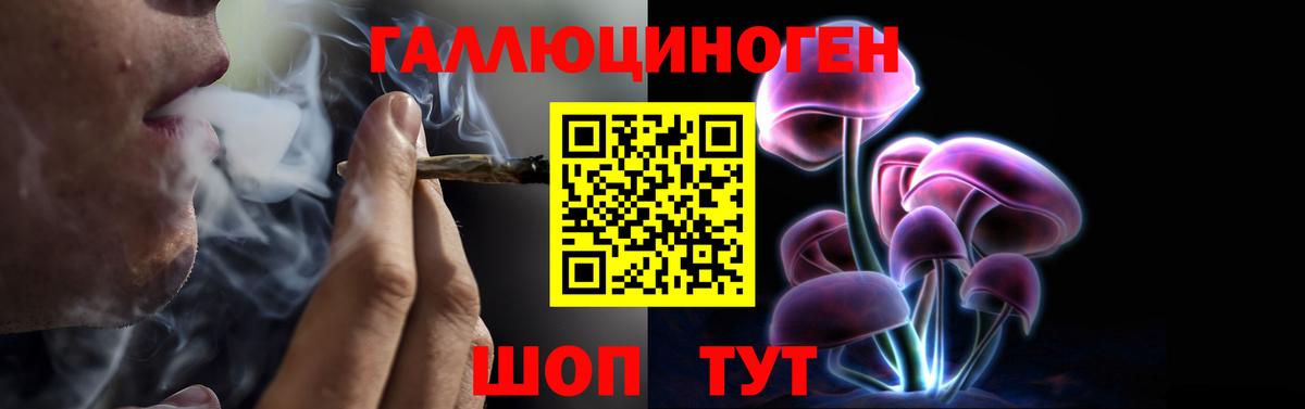 сколько стоит  Галлюциногенные грибы мицелий  Вход с VPN  Геленджик 